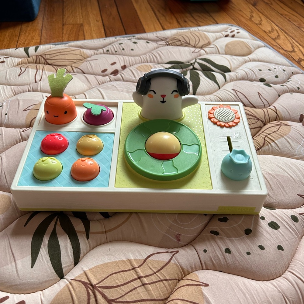 Skip hop dj rabbit toy